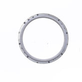 Exhaust Gasket-1